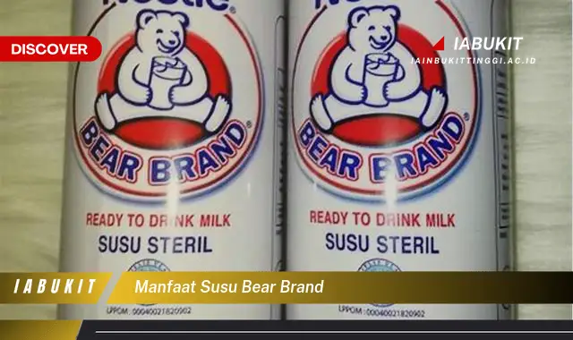 manfaat susu bear brand