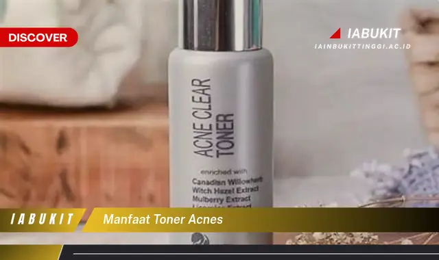 manfaat toner acnes