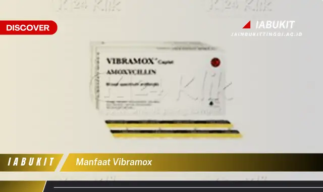 manfaat vibramox