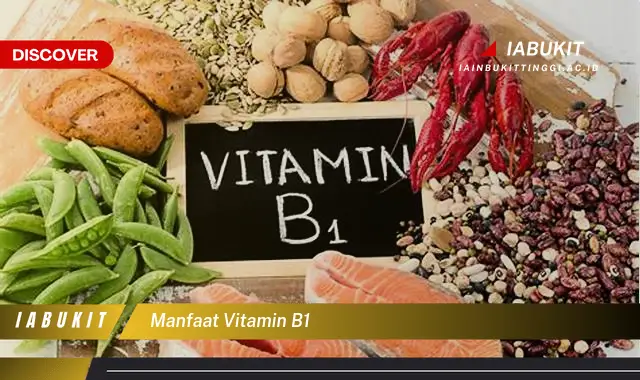 Temukan 7 Manfaat Vitamin B1 yang Wajib Kamu Intip – Discover