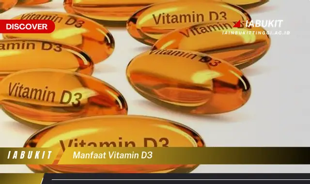 Temukan 7 Manfaat Vitamin D3 yang Bikin Kamu Penasaran – Discover