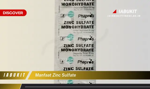 manfaat zinc sulfate