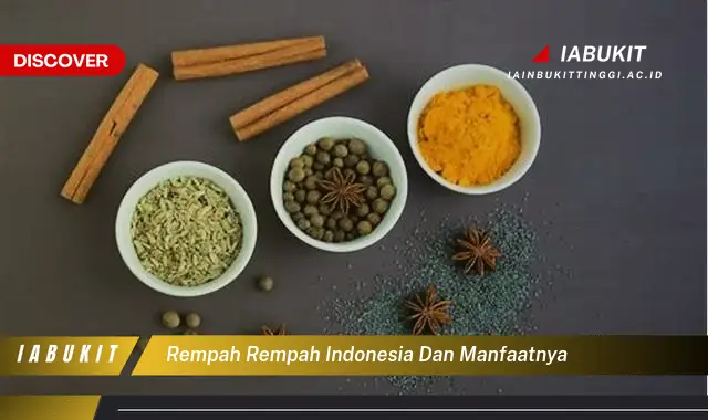 rempah rempah indonesia dan manfaatnya