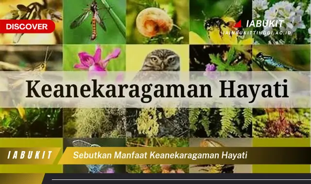 sebutkan manfaat keanekaragaman hayati