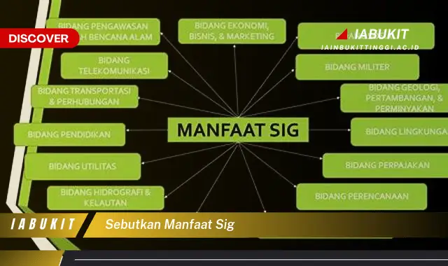 sebutkan manfaat sig