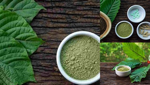 15 Manfaat Kratom yang Perlu Kamu Tahu banget