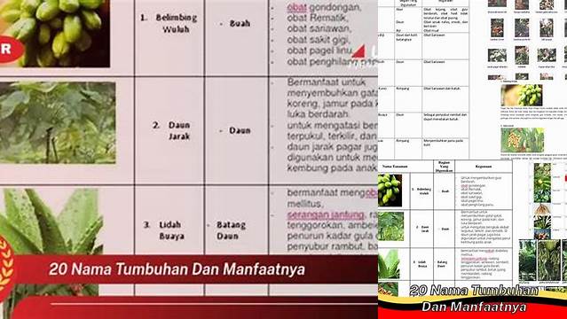 Temukan Manfaat 20 Tumbuhan yang Jarang Diketahui