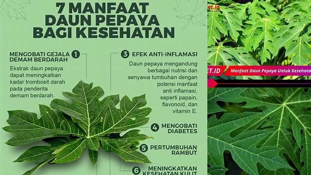 7 Manfaat Daun Pepaya: Rahasia Kesehatan yang Jarang Diketahui