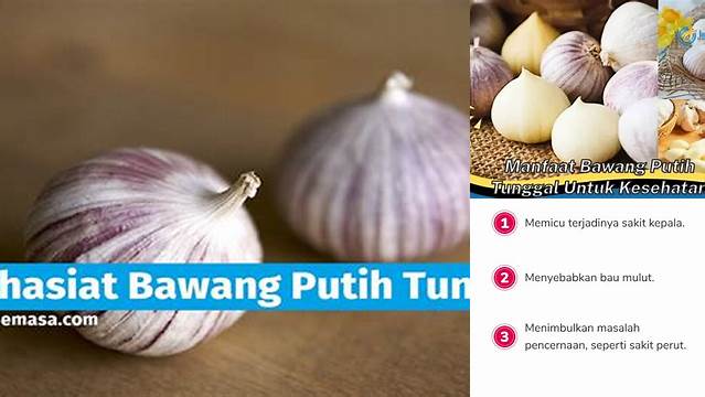 Temukan Manfaat Bawang Putih Tunggal yang Jarang Diketahui yang Wajib Anda Tahu