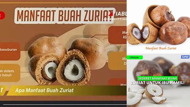 Temukan 10 Manfaat Buah Zuriat yang Jarang Diketahui