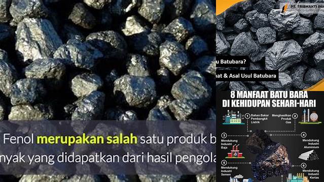 Ungkap Manfaat Batu Bara yang Jarang Diketahui