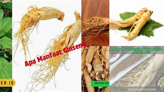 Temukan 8 Manfaat Ginseng yang Jarang Diketahui