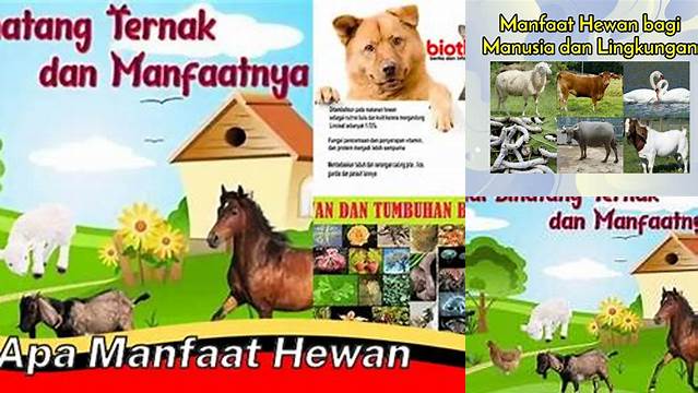 Temukan Manfaat-manfaat Hewan Yang Jarang Diketahui