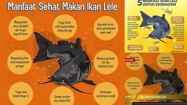 Ungkap Khasiat Ikan Lele yang Jarang Diketahui, Penting Anda Ketahui!