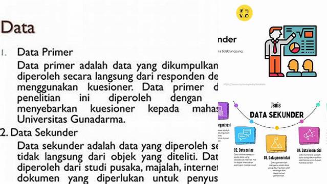 Temukan Manfaat Data Sekunder yang Jarang Diketahui dan Berharga