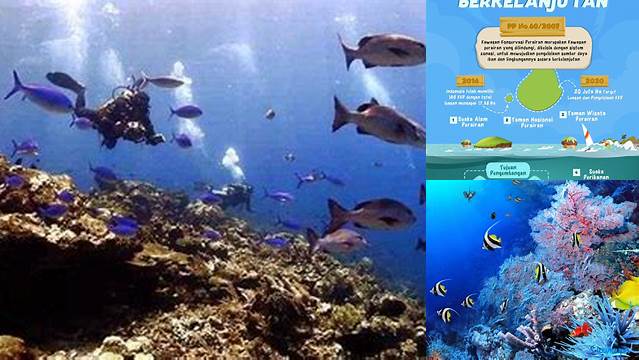Temukan Manfaat Laut yang Jarang Diketahui yang Akan Menakjubkan Anda