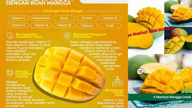10 Manfaat Buah Mangga yang Jarang Diketahui