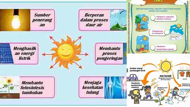 Temukan Manfaat Matahari yang Jarang Diketahui, untuk Hidup Lebih Sehat