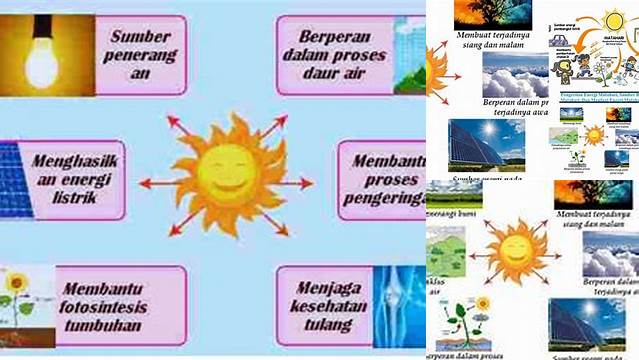 Manfaat Sinar Matahari Bagi Alam yang Jarang Diketahui