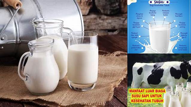Temukan Manfaat Susu Sapi yang Jarang Diketahui untuk Kesehatan Anda