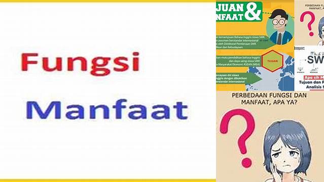 Terungkap Perbedaan Fungsi dan Manfaat yang Jarang Diketahui