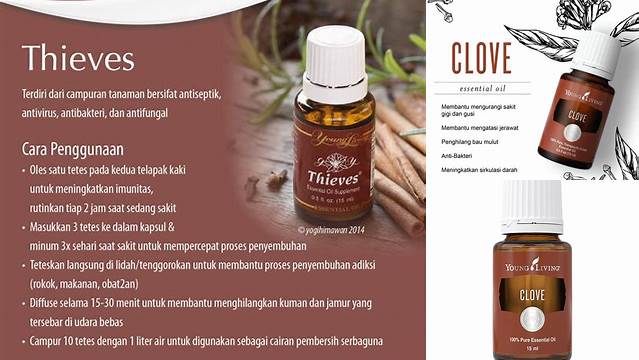 Temukan Manfaat Cengkeh Young Living yang Belum Banyak Diketahui