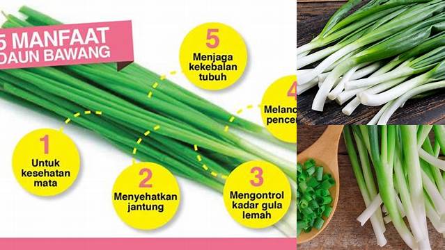 Temukan Manfaat Daun Bawang yang Perlu Anda Ketahui