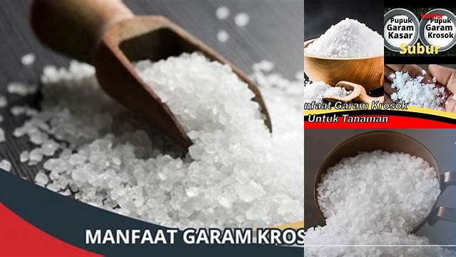 Temukan 10 Manfaat Garam Krosok Jarang Diketahui