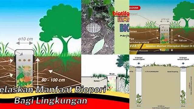 Temukan Manfaat Biopori bagi Lingkungan, Jarang Diketahui!