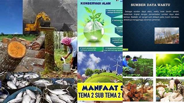 Temukan Manfaat Sumber Daya Alam yang Jarang Diketahui