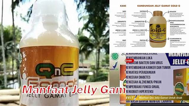 Temukan Manfaat Jelly Gamat yang Jarang Diketahui