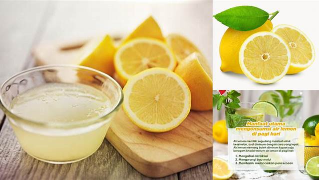 Manfaat Makan Lemon yang Jarang Diketahui, Wajib Dibaca!