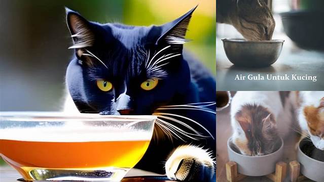 Temukan Rahasia Manfaat Air Gula Merah untuk Kucing yang Jarang Diketahui