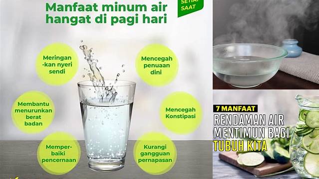 Temukan 10 Manfaat Air Hangat dalam Botol yang Jarang Diketahui