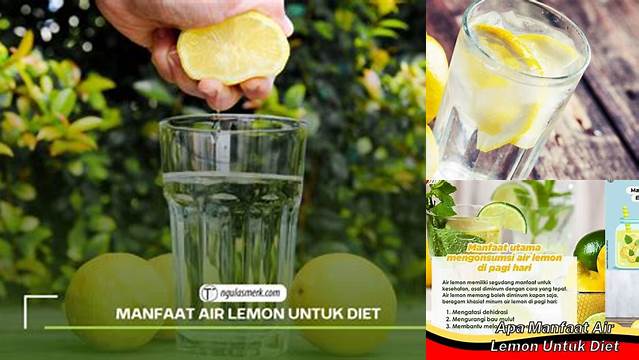 Temukan Rahasia Air Lemon untuk Diet yang Perlu Anda Ketahui