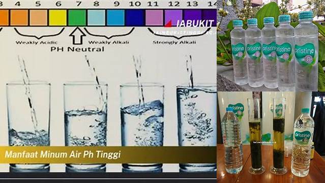 Manfaat Air Minum pH Tinggi yang Jarang Diketahui