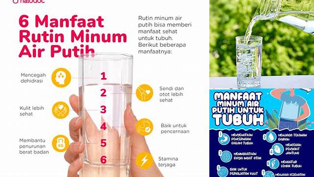 Temukan Manfaat Air Putih yang Jarang Diketahui