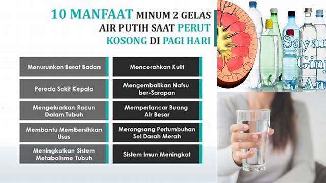 Temukan Manfaat Air Putih Bagi Kesehatan Ginjal yang Jarang Diketahui