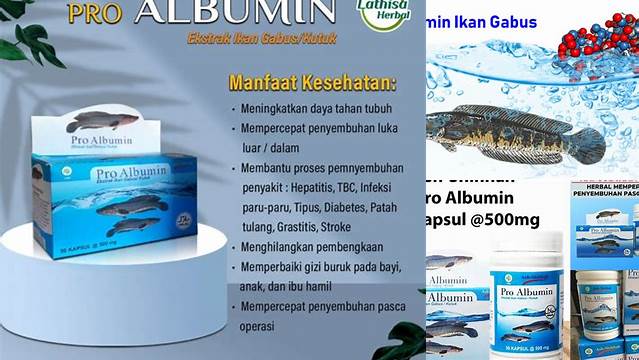 Manfaat Albumin Ikan Gabus yang Perlu Anda Tahu