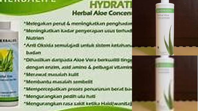 7 Manfaat Aloe Herbalife untuk Maag yang Jarang Diketahui