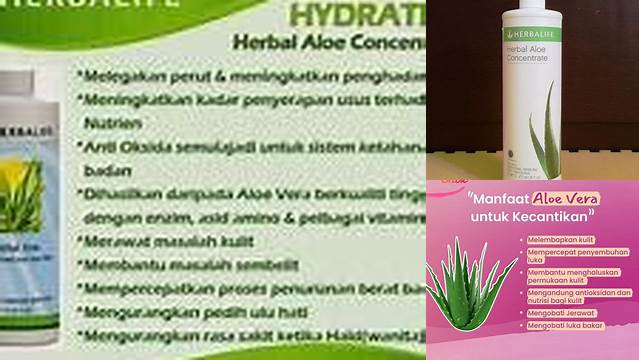 Temukan Manfaat Aloe Vera Herbalife untuk Maag yang Jarang Diketahui