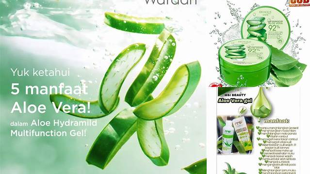 Temukan Manfaat Gel Aloe Vera yang Jarang Diketahui yang Wajib Anda Tahu