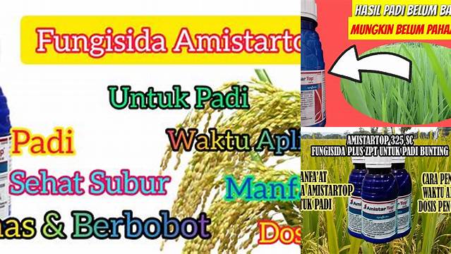 Temukan 7 Manfaat Amistartop untuk Padi yang Jarang Diketahui