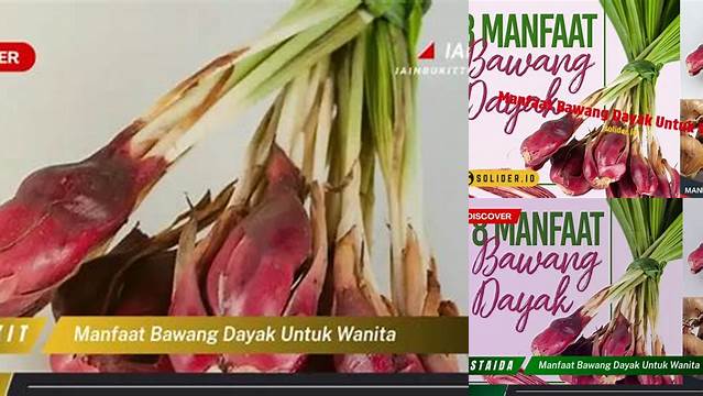 Temukan Manfaat Bawang Dayak untuk Wanita yang Jarang Diketahui