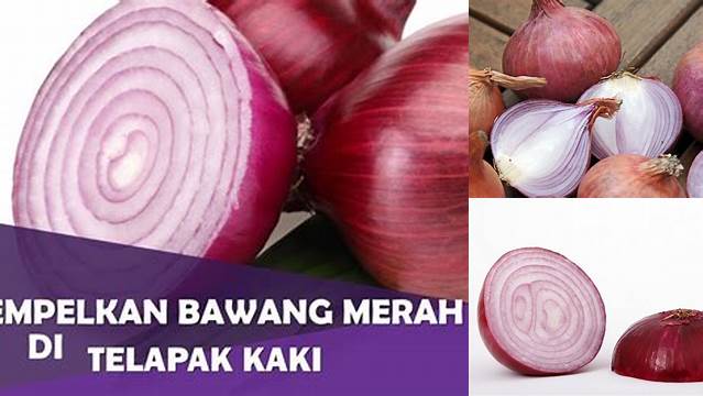 Manfaat Bawang Merah di Telapak Kaki yang Jarang Diketahui, Wajib Baca!