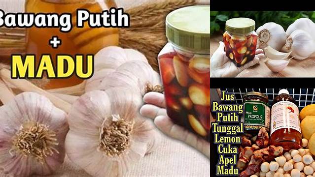 Temukan Khasiat Bawang Putih dan Madu yang Jarang Diketahui