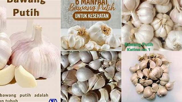 Manfaat Bawang Putih Kating: Penemuan Menakjubkan yang Jarang Diketahui