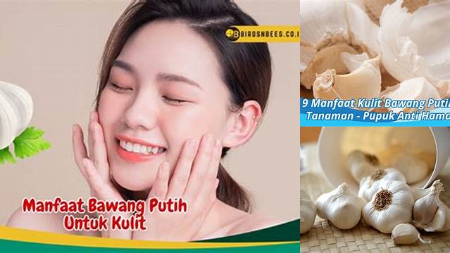 Temukan Segudang Manfaat Bawang Putih untuk Kecantikan Kulit Anda