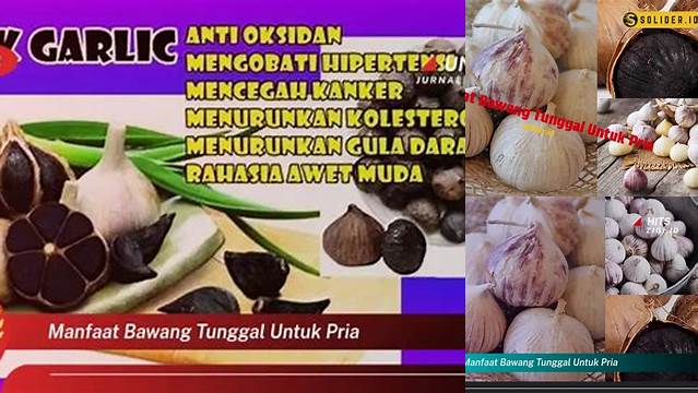 Temukan Manfaat Bawang Tunggal untuk Pria yang Jarang Diketahui