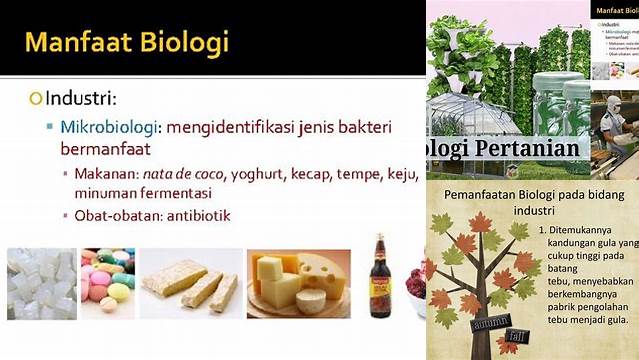 Temukan Manfaat Biologi di Bidang Industri yang Jarang Diketahui
